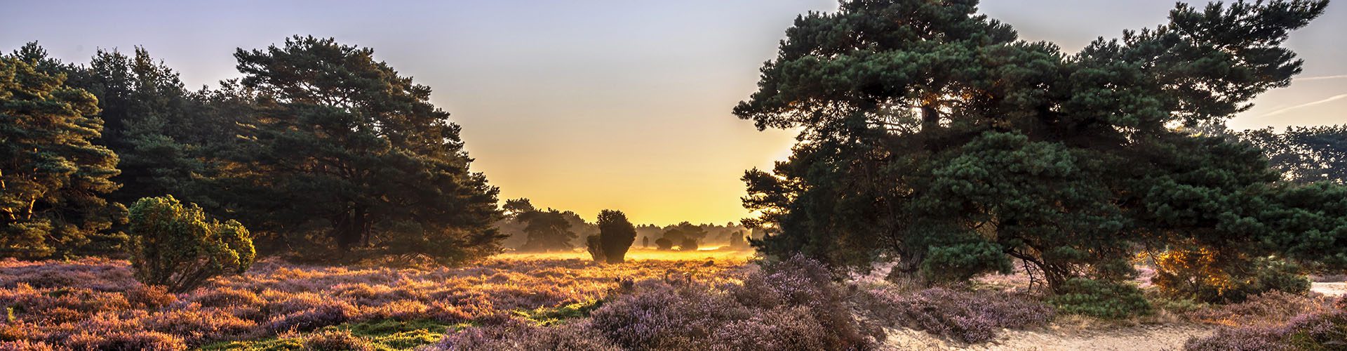 groot scherm drenthe