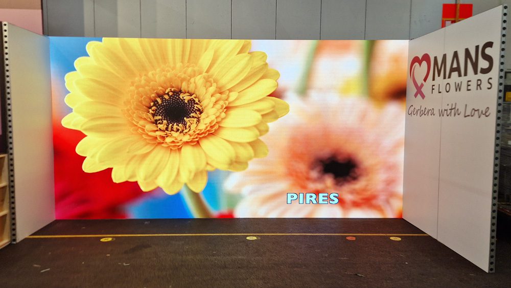 led wall kadersysteem aalsmeer